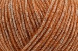 wool4future 00015 caramel von Schachenmayr